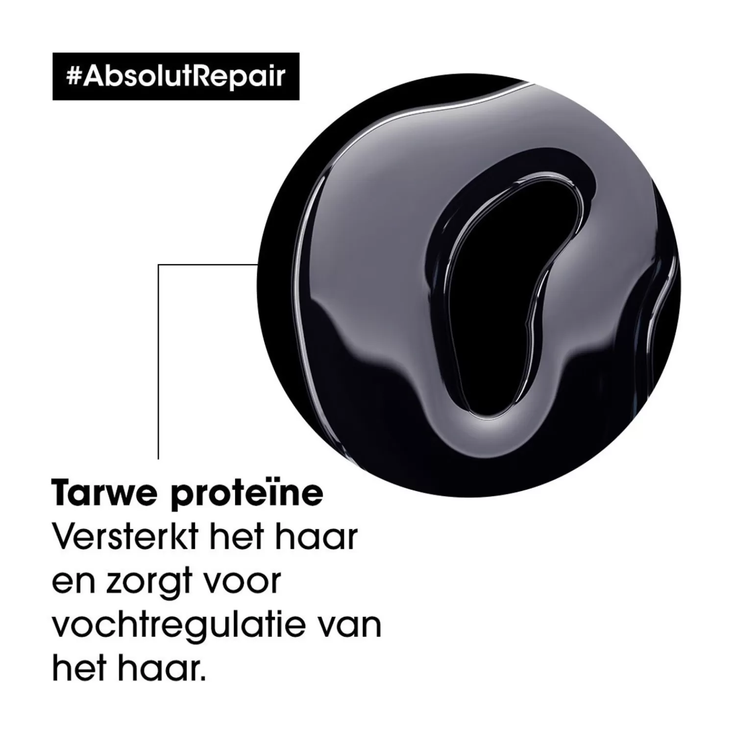 L´Oréal Professionnel L'Oreal Professionnel Absolut Reparatie